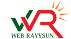 Best Web Design kukatpally