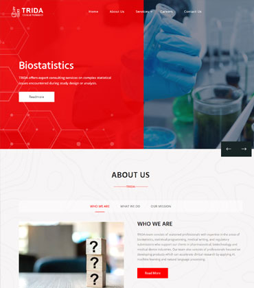 best website designers kukatpally